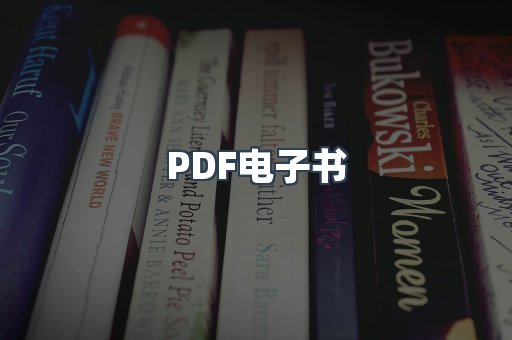 PDF电子书